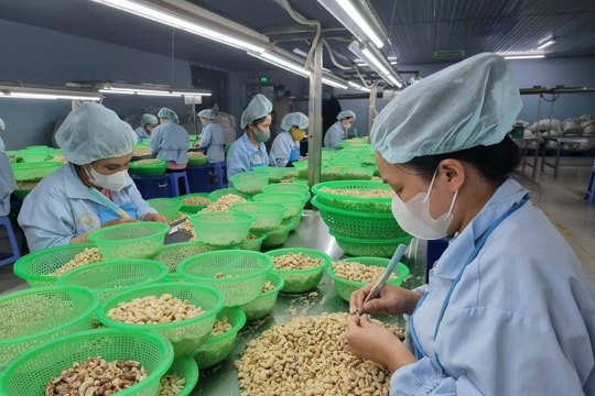 Thương hiệu Việt trước cơ hội và thách thức trong kỷ nguyên số