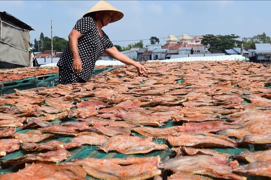 Làng nghề cá khô giải quyết việc làm cho hàng trăm lao động vùng biển