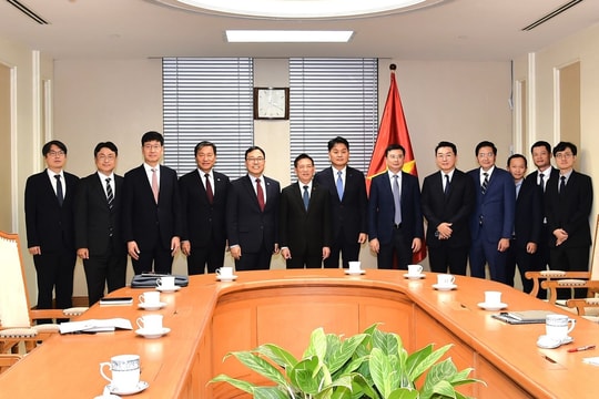 Thúc đẩy mạnh mẽ hơn nữa quan hệ Việt Nam - Hàn Quốc