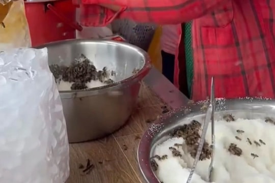 Côn trùng "bu đen" quầy nước ở miền Tây, khách vẫn thản nhiên xếp hàng mua