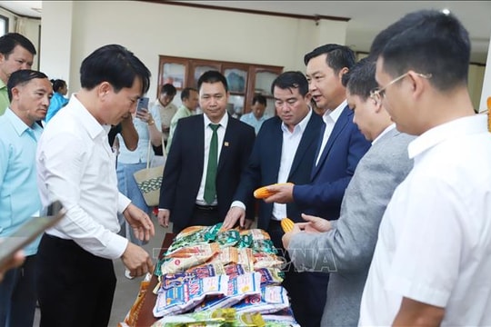 Mở ra hướng hợp tác mới trong lĩnh vực nông nghiệp Việt Nam - Lào