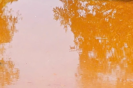 Nghệ An: Nước suối Bắc có màu vàng đục bất thường