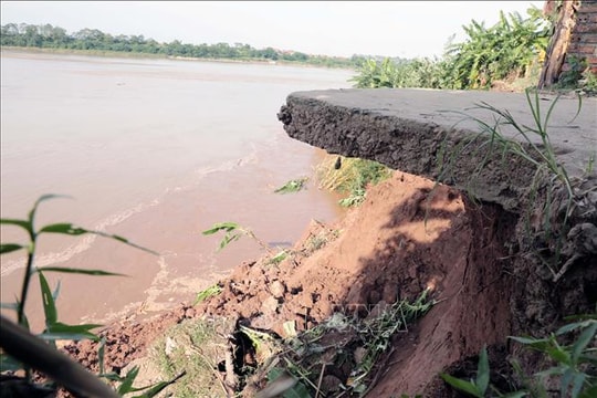 Công bố tình huống khẩn cấp về sạt lở bờ, vở sông Thao đoạn qua xã Tam Nông (Phú Thọ)