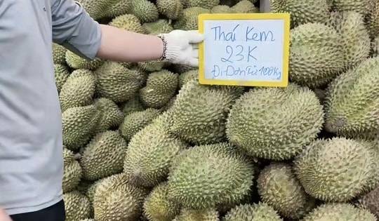 Giá sầu riêng rớt mạnh, nhà vườn tiếc hùi hụi vì không bán sớm