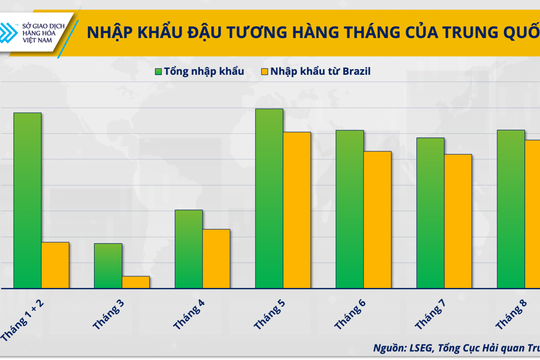 Thị trường đậu tương cuối năm 2025: Áp lực dư cung hay cơ hội phục hồi giá?