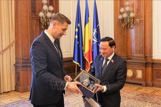 Thúc đẩy quan hệ hữu nghị truyền thống và hợp tác tốt đẹp giữa Việt Nam và Romania