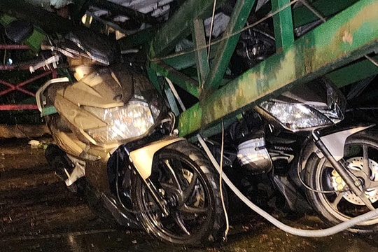 TP Hồ Chí Minh: Cây cổ thụ bật gốc đè sập nhà giữ xe công viên Bình Phú