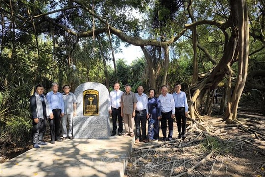 Năm cây cổ thụ được công nhận là Cây di sản Việt Nam