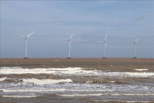 Dự án điện gió Duyên Hải gặp khó giải phóng mặt bằng, Vĩnh Long khẩn trương xử lý