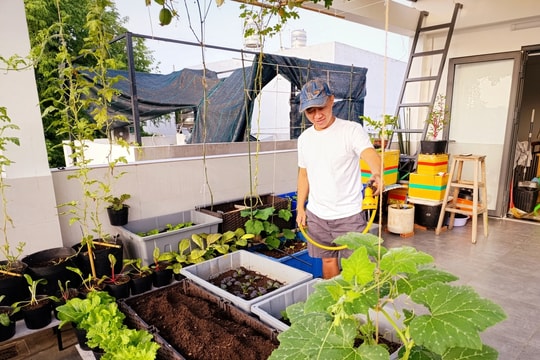 Vườn rau sân thượng dành tặng con của kỹ sư IT