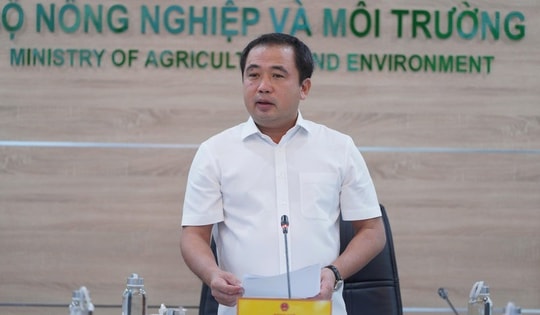 Philippines, Indonesia tạm ngừng nhập khẩu gạo, nông dân không cần lo lắng về đầu ra