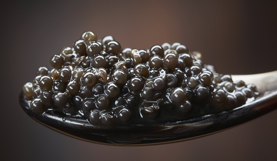 Thứ xưa tưởng vứt đi, nay "lên đời" thành đặc sản xa xỉ giá 3 tỷ đồng/kg