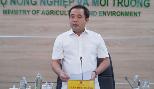 Xuất khẩu gạo của Việt Nam không bị ảnh hưởng