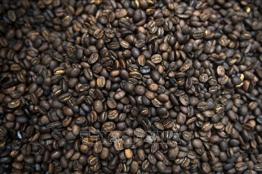 Thị trường nông sản: Giá cà phê tại Mỹ tăng mạnh nhất trong nhiều thập kỷ