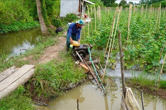 Đồng Tháp: Kịp thời gia cố đê bao xung yếu ứng phó với triều cường