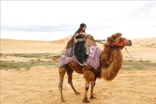 Cơ hội trải nghiệm miễn phí thắng cảnh Bàu Trắng