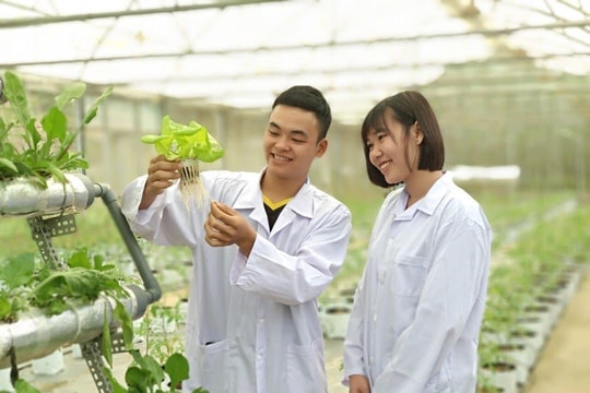 Gỡ ‘điểm nghẽn’ Nghị quyết 57 - Bài 2: Sẵn sàng nguồn nhân lực cao