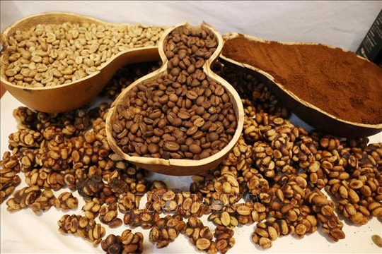 Cà phê Việt chinh phục người tiêu dùng Pháp