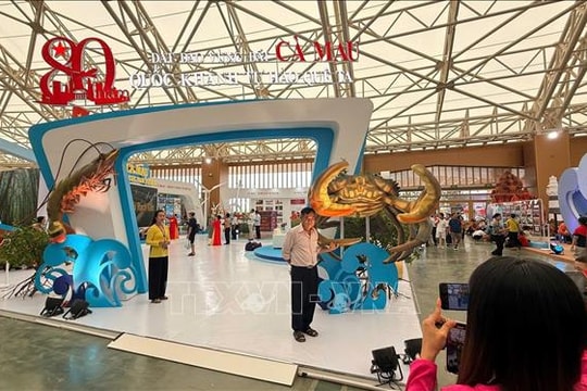 Cà Mau - Điểm đến ấn tượng