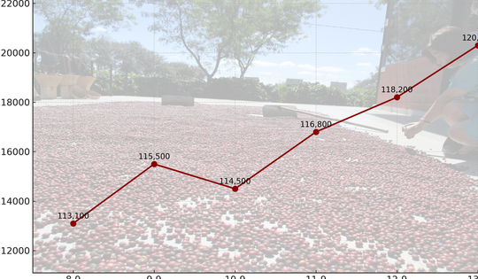 Giá cà phê hôm nay 14-9: Chốt tuần tăng, nhà vườn xả kho chuẩn bị vụ mới