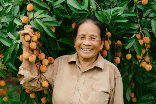 Bí quyết sống thọ từ 5 vùng xanh trên thế giới