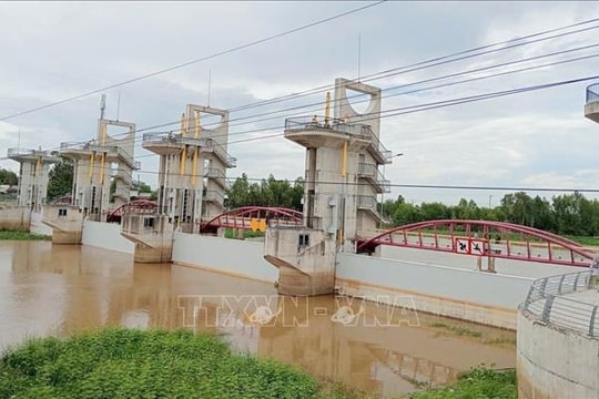 Vận hành xả hai cống kiểm soát lũ sông Cửu Long và vùng Tứ Giác Long Xuyên