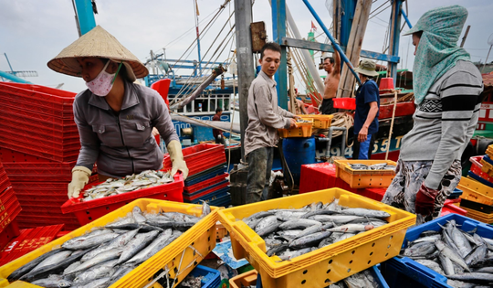 Bộ trưởng Công Thương gửi thư tới Mỹ trước lệnh cấm nhập khẩu hải sản Việt Nam