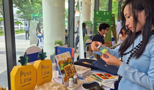 Khởi nghiệp xanh không đơn độc