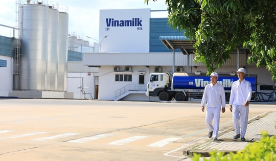 Phát triển bền vững: Khi gánh nặng chi phí trở thành tài sản thương hiệu