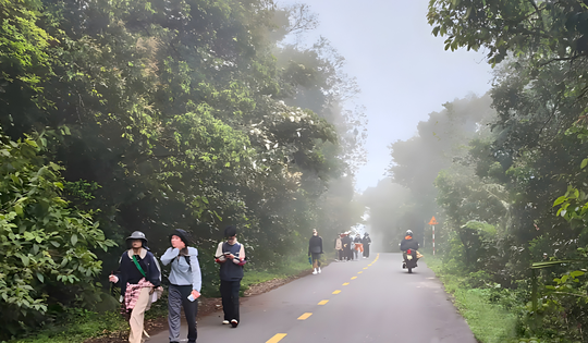 Du khách tham quan bán đảo Sơn Trà cần biết điều này