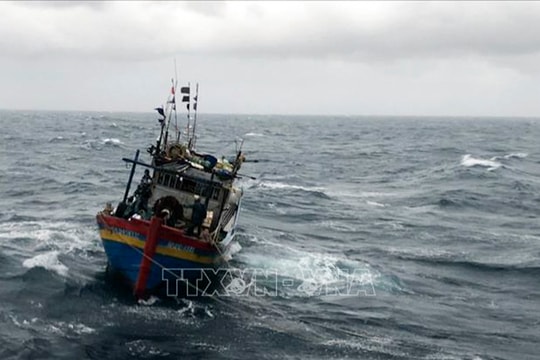 Thời tiết ngày 16/9: Vùng áp thấp, có khả năng mạnh lên thành áp thấp nhiệt đới