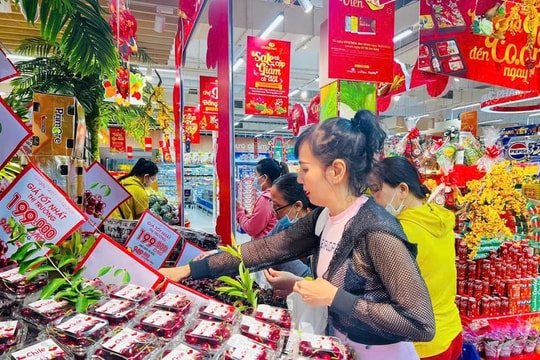 Thương mại Việt Nam – Chile tăng tốc, kim ngạch gần 2 tỷ USD