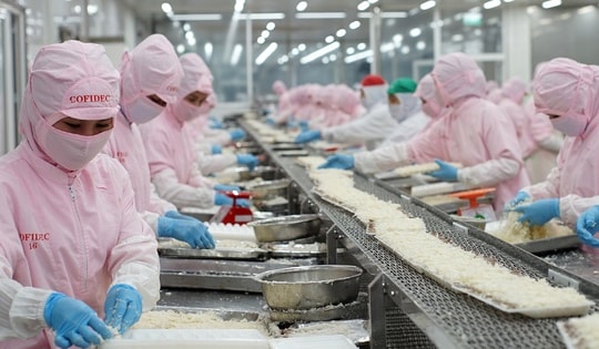 COFIDEC xanh hóa sản xuất, vươn tầm thủy sản Việt