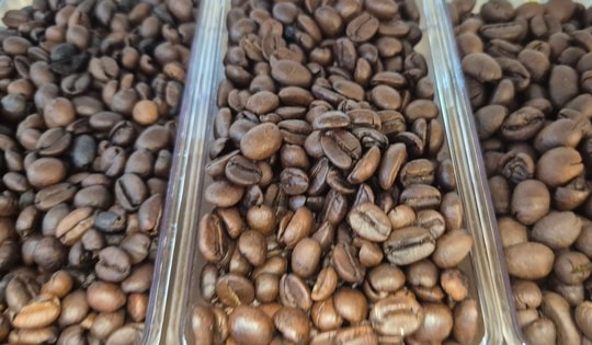 Giá cà phê hôm nay 16-9: Tăng như mơ