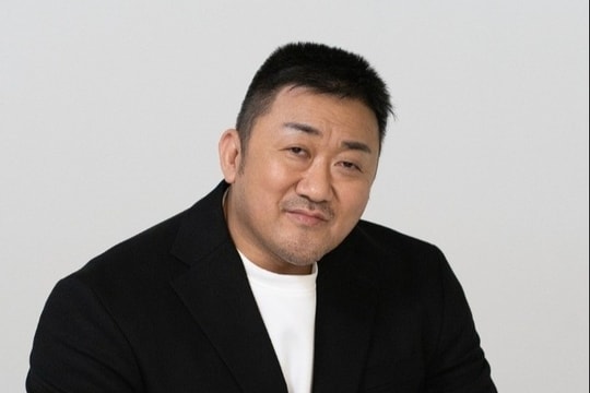 Ma Dong Seok bị chỉ trích