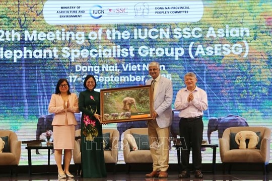 Liên minh Bảo tồn thiên nhiên quốc tế bàn giải pháp bảo tồn voi châu Á