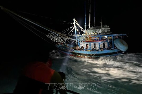 Vườn Quốc gia Côn Đảo gặp khó trong bảo tồn tài nguyên rừng và biển