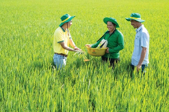 Nghiên cứu, phát triển sản phẩm và chuyển đổi số góp phần tạo bước nhảy vọt cho nông nghiệp Việt Nam