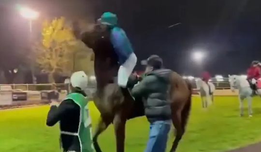 Kỵ sĩ kỳ cựu thoát nạn sau sự cố kinh hoàng tại trường đua