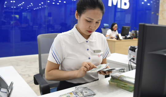 Giá USD tại Việt Nam có diễn biến mới