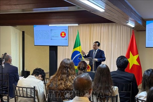 Tiềm năng và cơ hội hợp tác Việt Nam - Mercosur