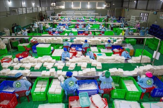 Fed giảm lãi suất 0,25%, Việt Nam sẽ tận dụng được cơ hội gì?