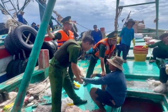 Bắt giữ đối tượng bị truy nã về tội giết người lẩn trốn trên tàu cá ở Côn Đảo