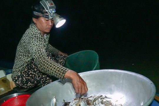 Trắng đêm săn "lộc trời" kiếm gần triệu bạc mỗi ngày