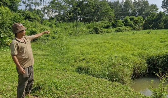 Nhà máy 500 tỉ ở Đà Nẵng "chết yểu", người dân bị vạ lây