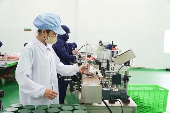 Khánh thành nhà máy chế biến nông sản hiện đại tại Đồng Nai