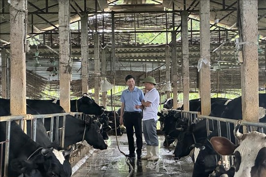 Nhà khoa học của nhà nông và khát vọng nâng tầm nông sản địa phương