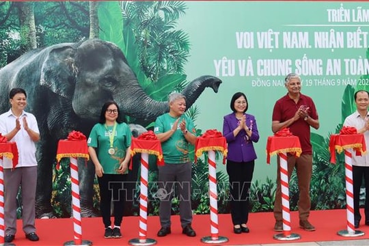 Khai mạc Tuần lễ Bảo tồn voi năm 2025