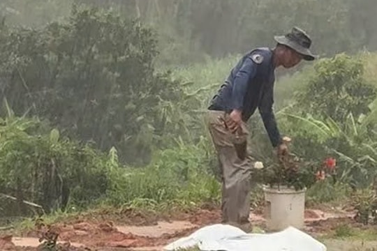 Trồng 1.000 gốc hoa hồng dọc con đường vợ gặp nạn