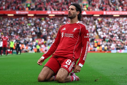 Siêu máy tính dự đoán Liverpool vs Everton, vòng 5 Ngoại Hạng Anh hôm nay 20/9